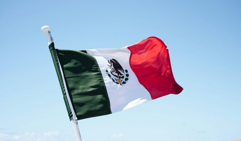 Implementation of the Méndez Principles in Mexico Seminar